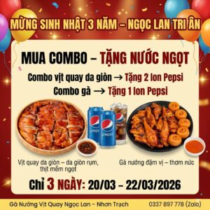 MỪNG SINH NHẬT 3 NĂM – NGỌC LAN TRI ÂN